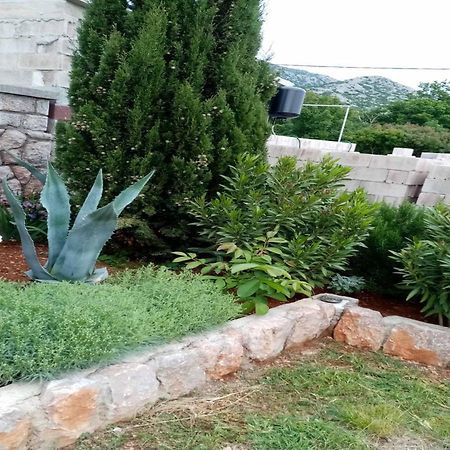 Apartments Paola كارلوباغ الغرفة الصورة