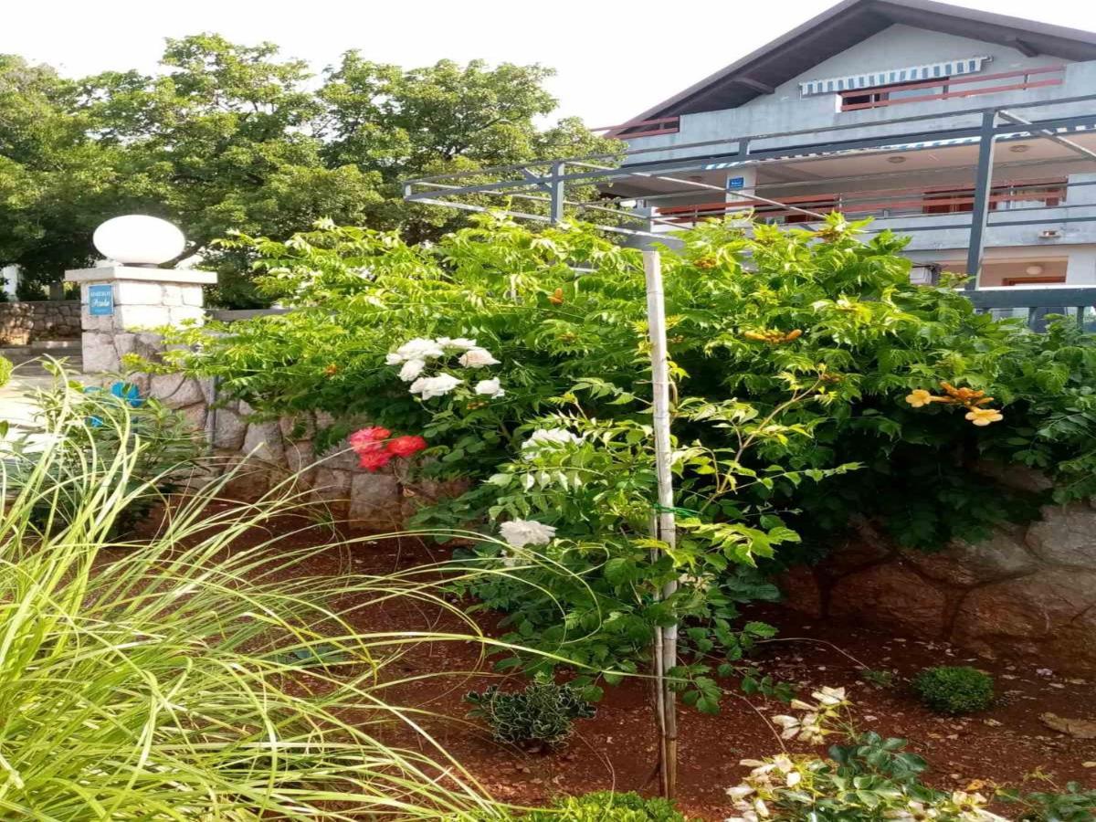 Apartments Paola كارلوباغ المظهر الخارجي الصورة