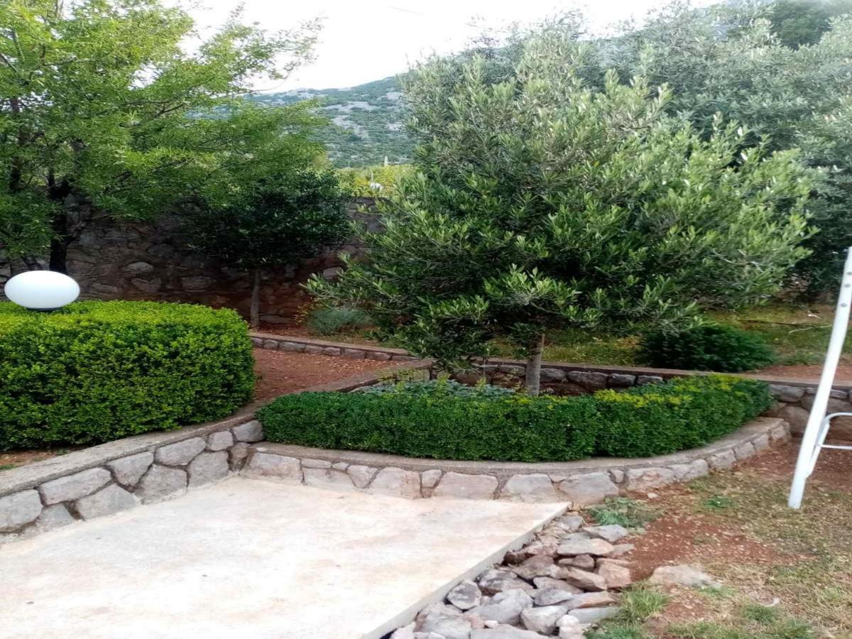 Apartments Paola كارلوباغ المظهر الخارجي الصورة