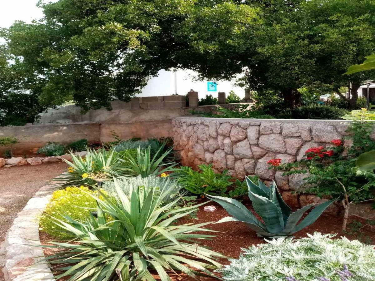 Apartments Paola كارلوباغ المظهر الخارجي الصورة