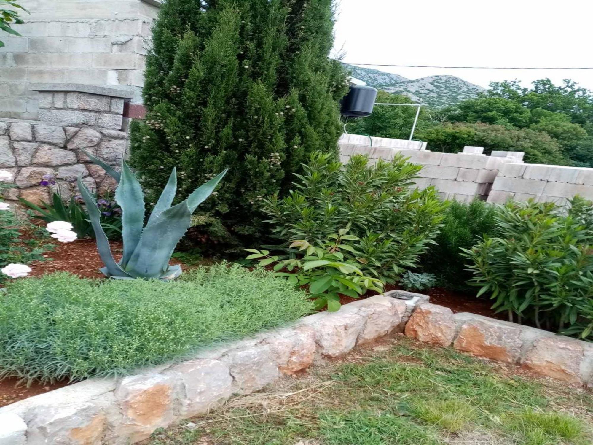 Apartments Paola كارلوباغ الغرفة الصورة