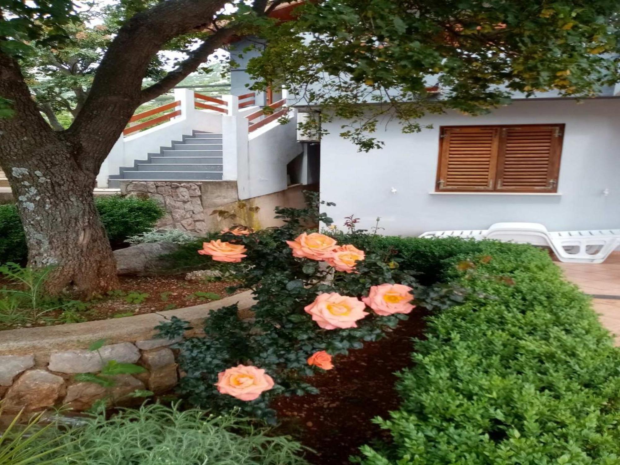 Apartments Paola كارلوباغ الغرفة الصورة
